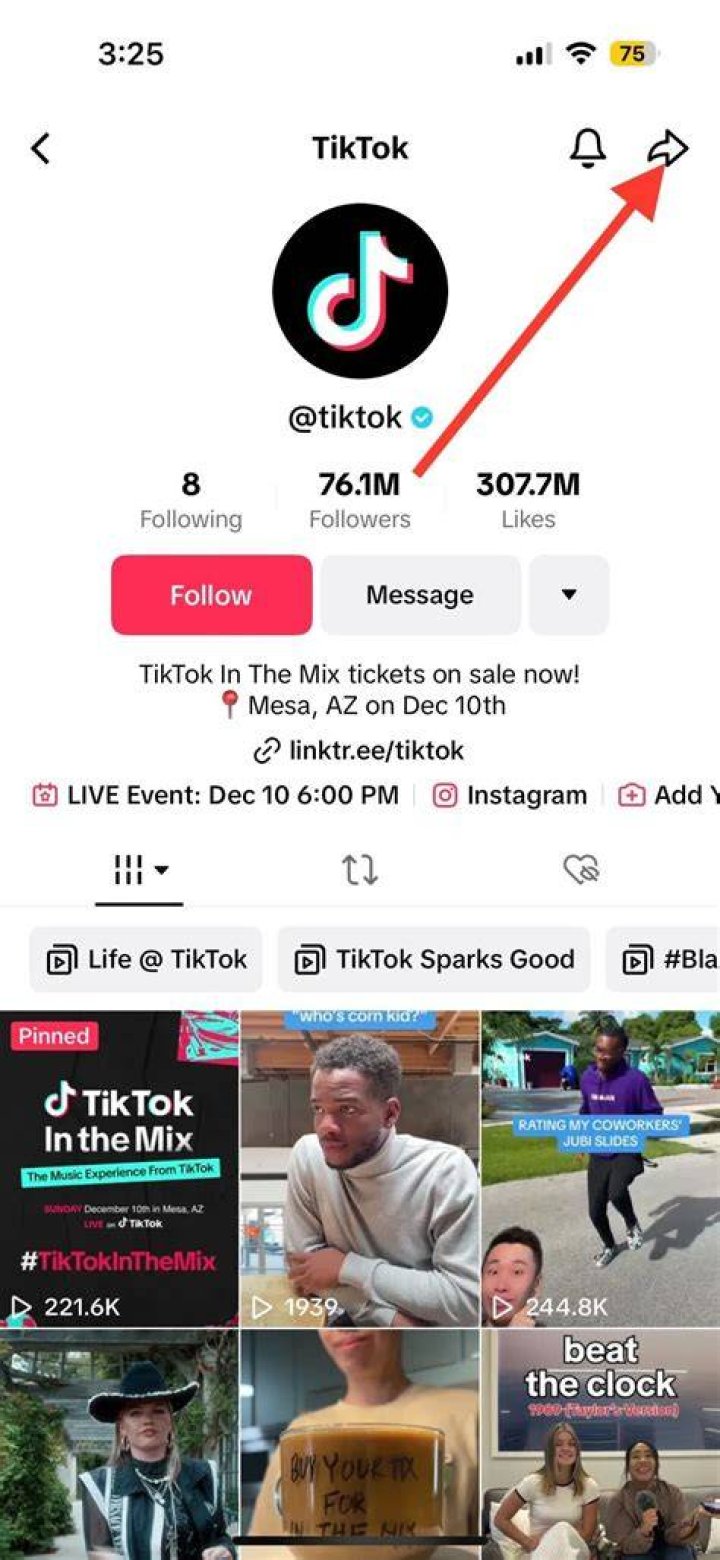 TikTokを2人で共有する方法：アカウント運用の現実的な選択肢